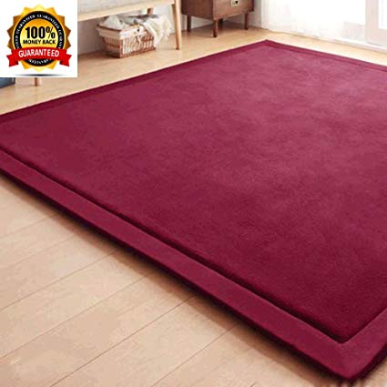 Wine Red Large Soft Carpet for Girl/Baby/Teen/Woman, Janpanese Tatami Mat Thicken Carpet for Living Room, Ultra Soft Coral Velvet Baby Crawling Mat, 75 by 75 Inch